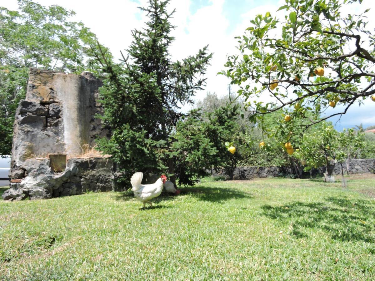 Villa Sciare Modò Acireale Esterno foto